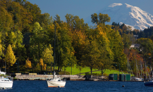 Renton WA Real Estate Market Trends: A Detailed 2026 Market …