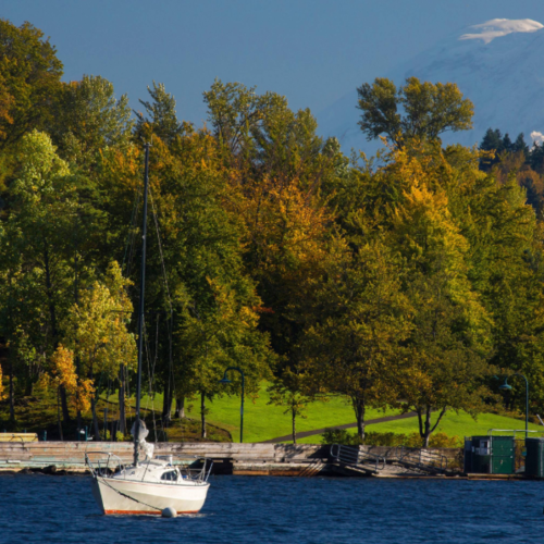 Renton WA Real Estate Market Trends: A Detailed 2026 Market Analysis for Buyers and Sellers