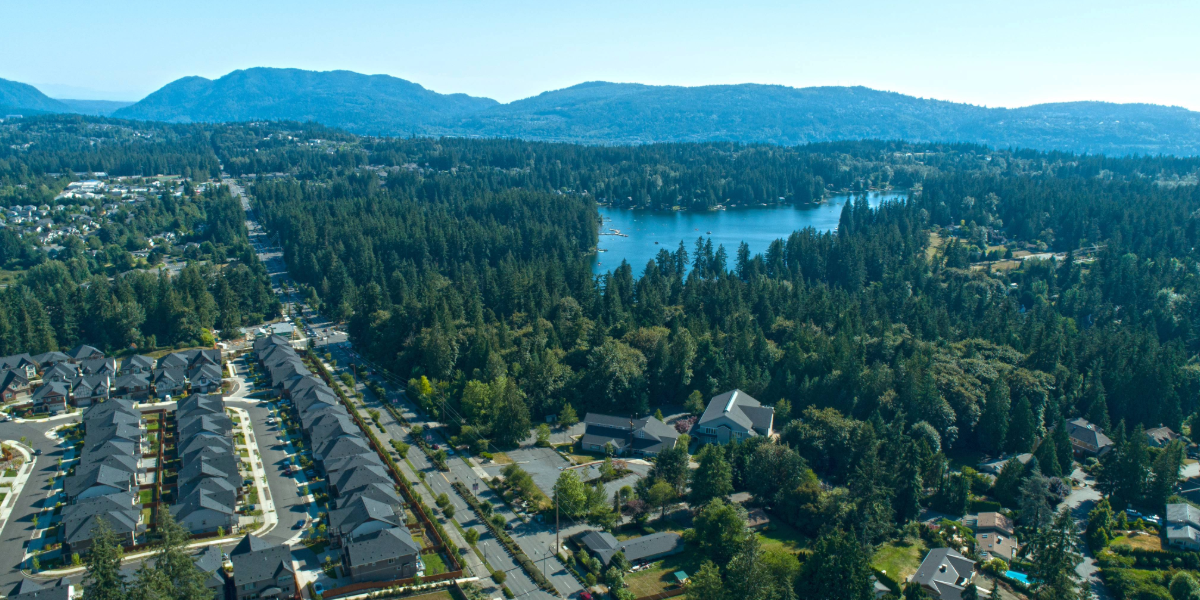 AgentFire 1200x600 Blog Photos-41