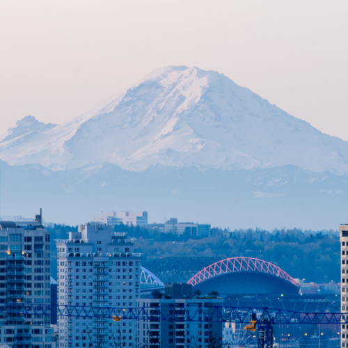 Northgate Real Estate Market Trends: 2026 Guide For Buyers And Sellers