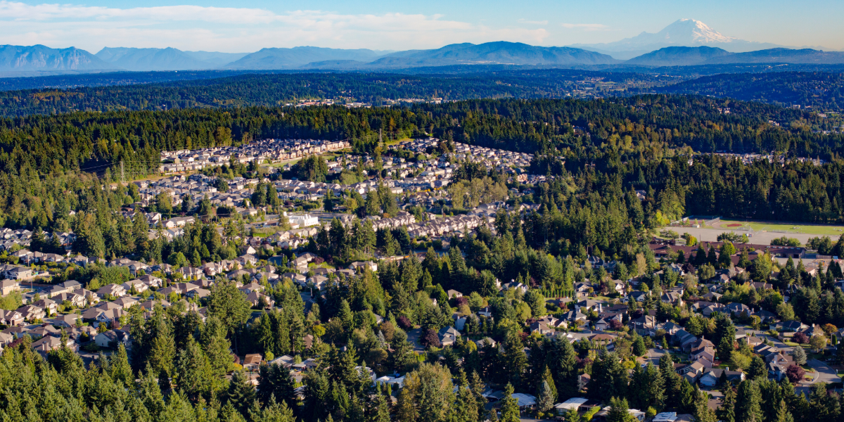 AgentFire 1200x600 Blog Photos-1