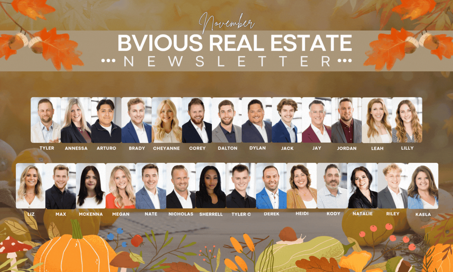 Obvious Real Estate November 2025 Newsletter