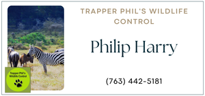 Partner Designs - Website (1)