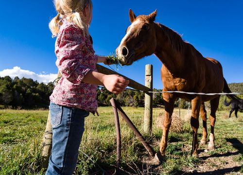 Gypsum-Valley_Brightwater photo