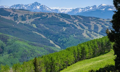 Vail Homeowners Insurance: Available, Affordable, and Well-Protected in 2026