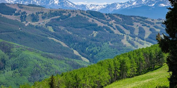 Vail Homeowners Insurance: Available, Affordable, and Well-Protected in &hellip;