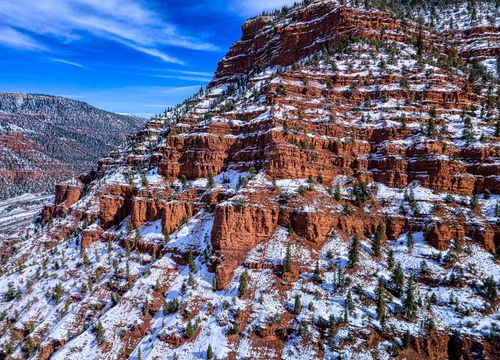 Red-Canyon_Timber-Spring photo