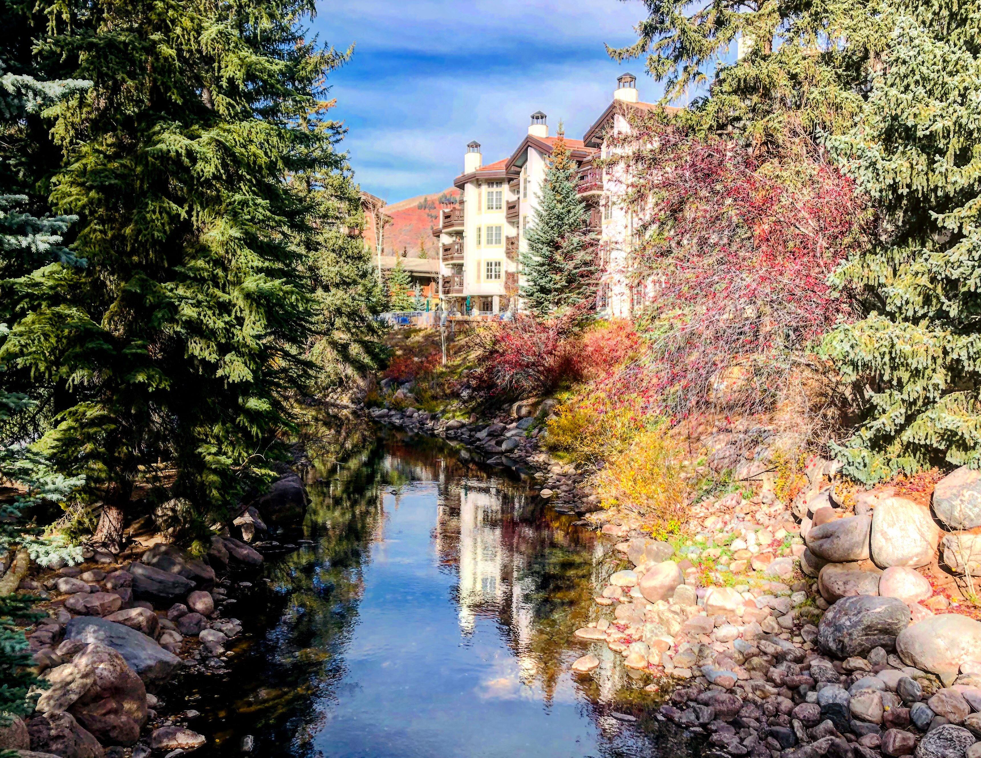 rc77-vail-6002587