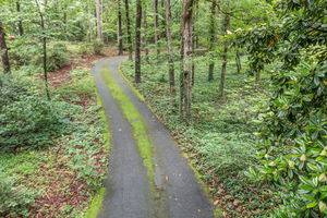 1-web-or-mls-CDS-0289