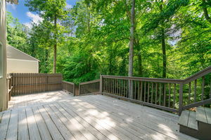 14-web-or-mls-CDS-00196