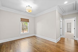 36-web-or-mls-DSC00138