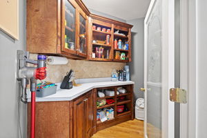 37-web-or-mls-DSC00293