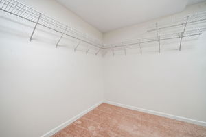 50-web-or-mls-CDS-00183