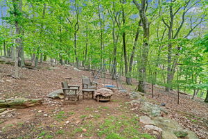 51-web-or-mls-CDS-00223