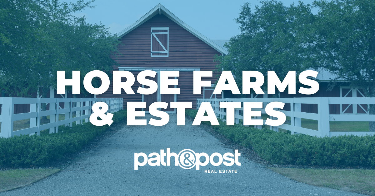 Horse Farms in North Georgia