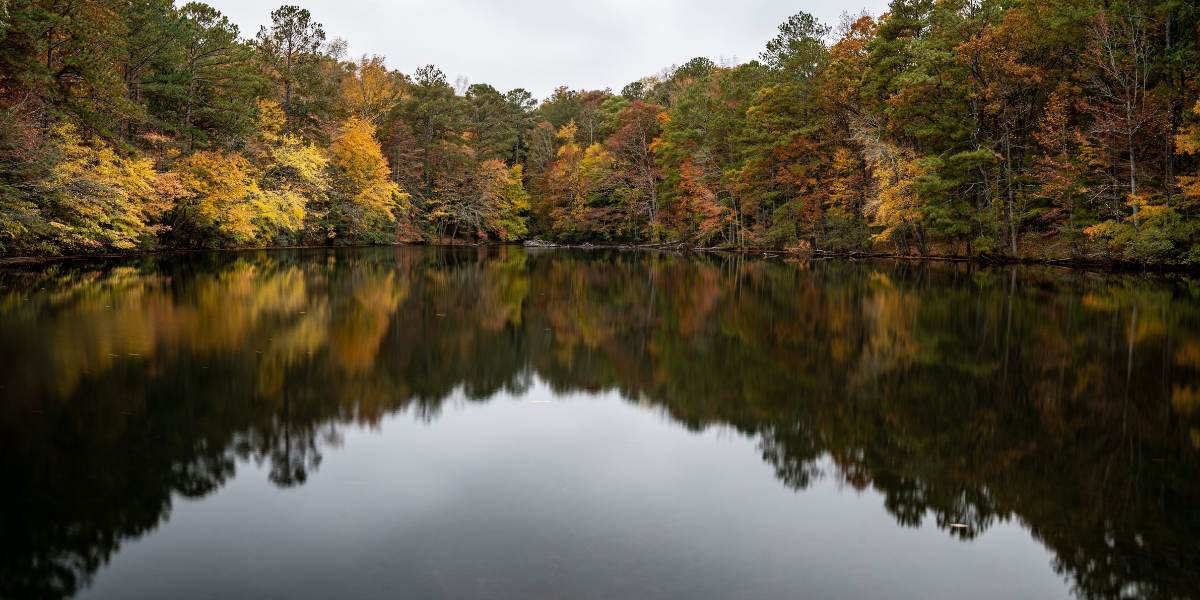 Sibley Pond waters, Marietta, GA