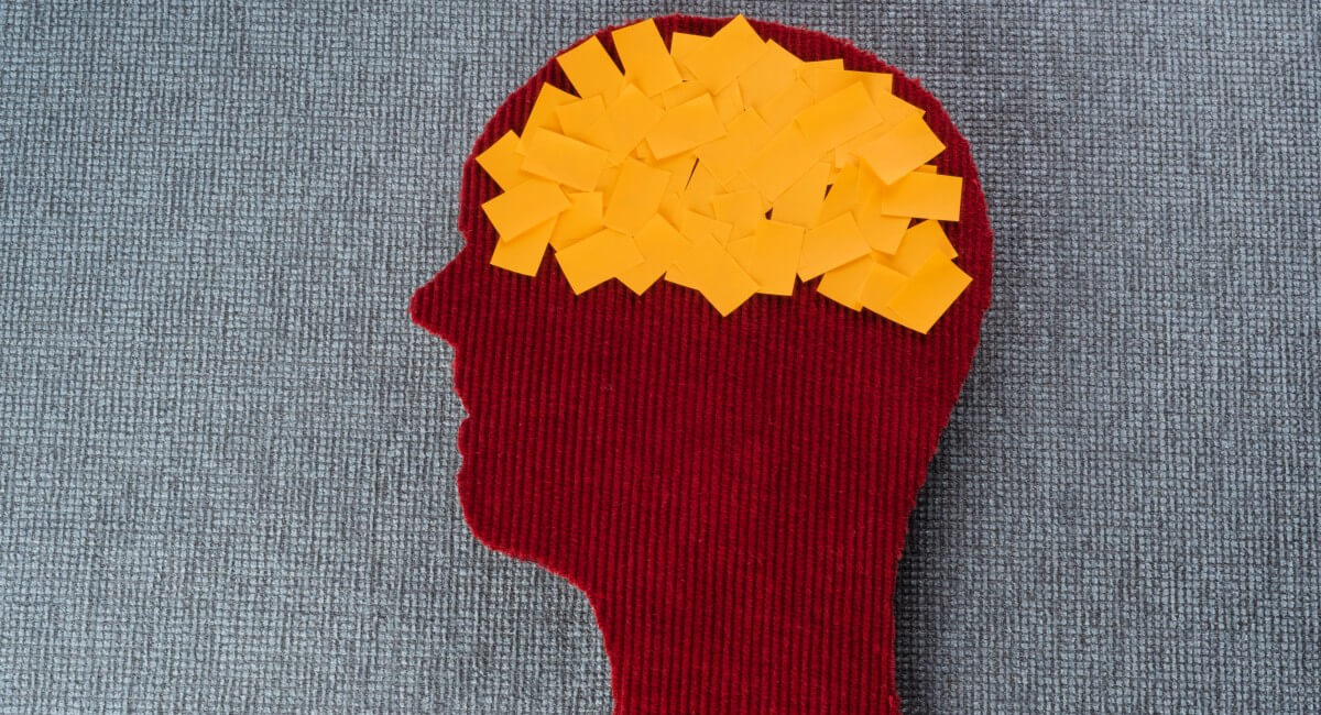 The Impact of Price Reduction