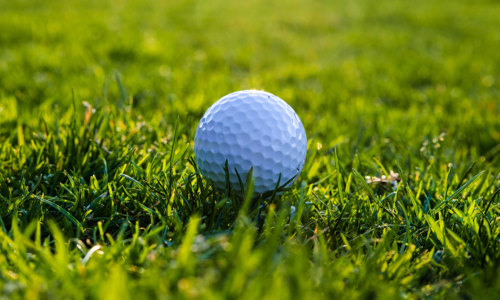 Best Public Golf Courses in Naples, Florida