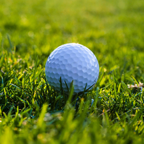Best Public Golf Courses in Naples, Florida