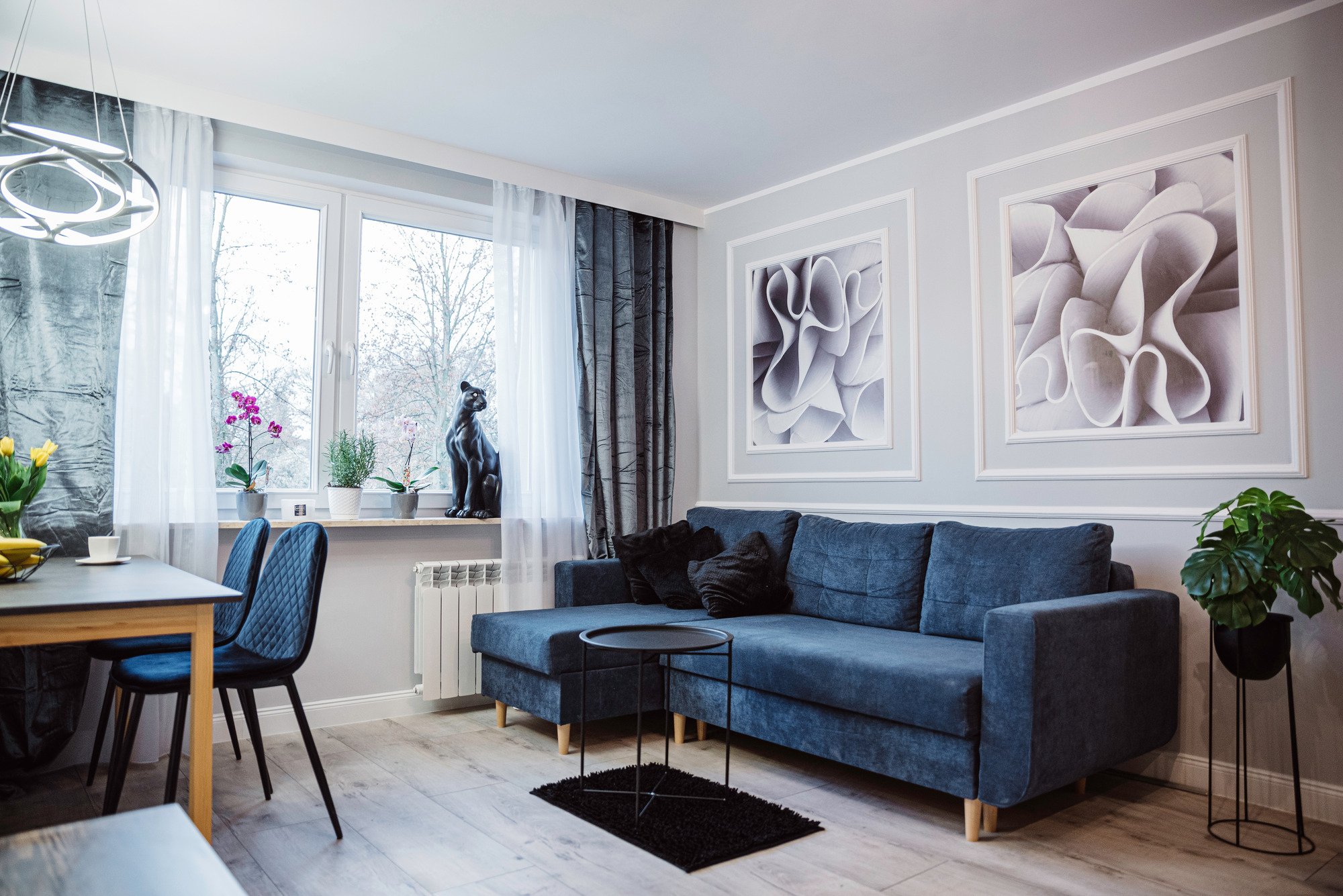 modern cozy living room