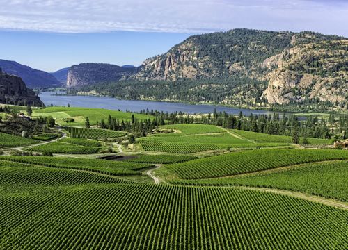 coh-stay-longer-save-more-og