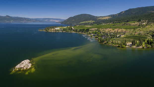 Lake Country East/Oyama