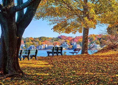 autumn park lake view