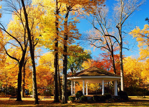 landscape-image-of-suffield