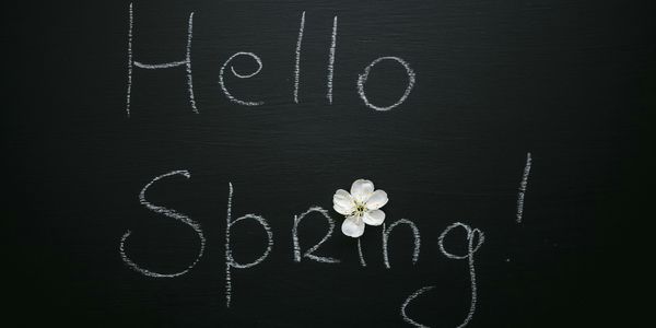Longer Days, Brighter Homes: How Spring Sunshine Helps …