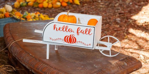 5 Reasons Fall Is a Great Time to …