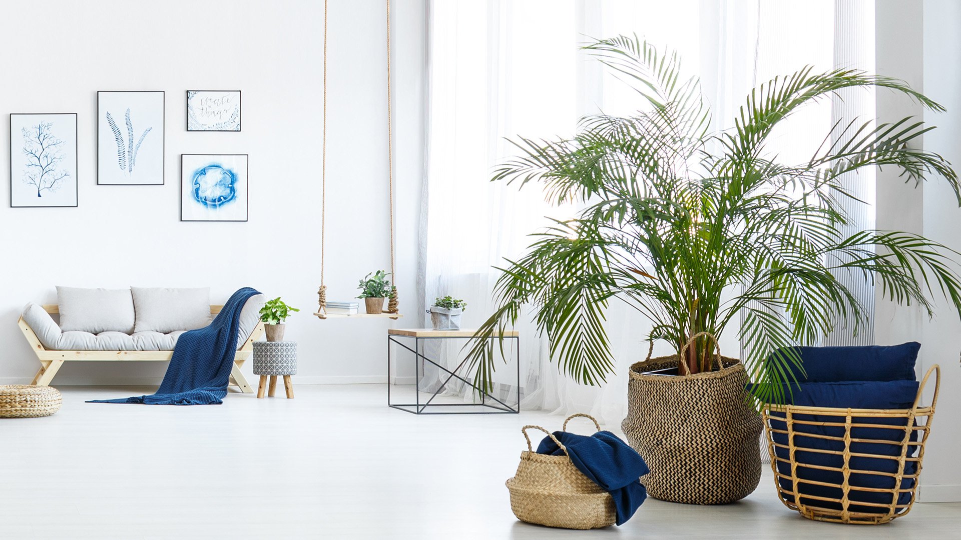 White,Living,Room,With,Couch,,Blue,Armchair,And,Decorative,Plant