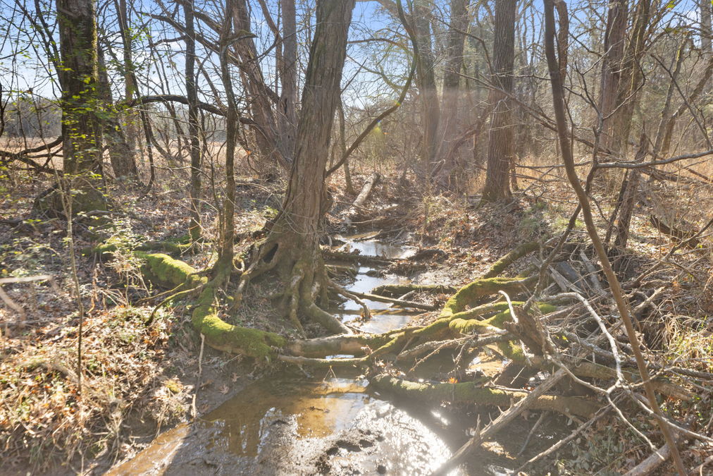 10-web-or-mls-1D2A5176