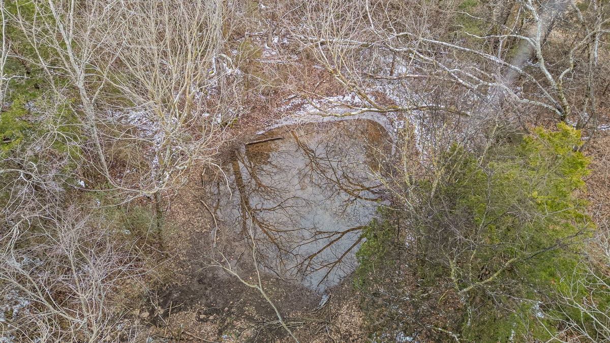 43-web-or-mls-DJI_20260130162427_0592_D