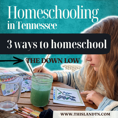 Homeschooling in Tennessee