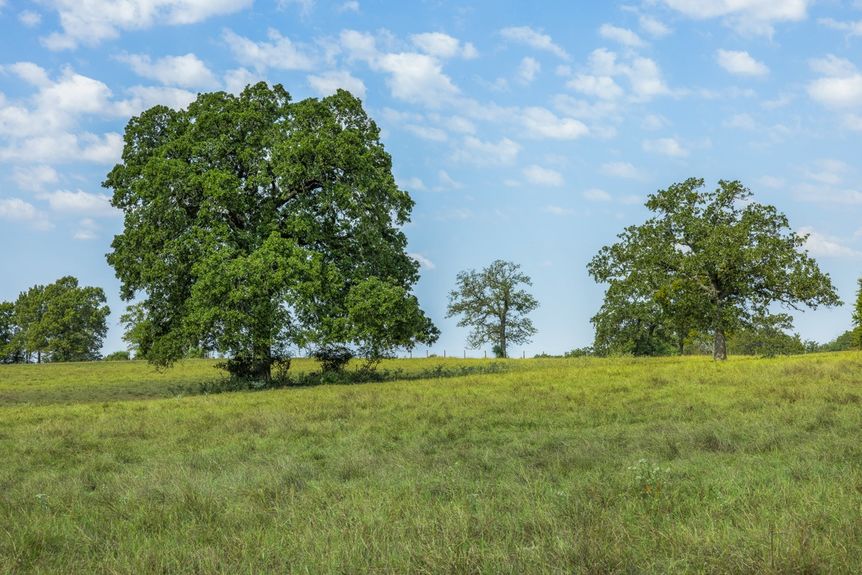 1 - Tract 2 Rolke Ranch Rd Large