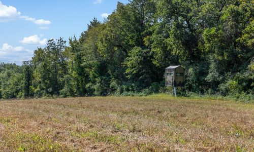 What Makes A Good Hunting Property
