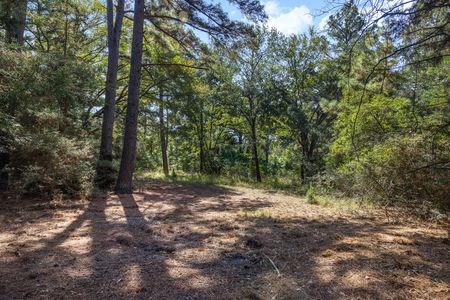 2 - tract 2 FM 1940 Large