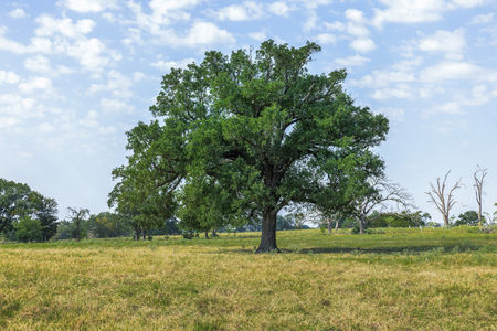 1 - Tract 5 Rolke Ranch Rd