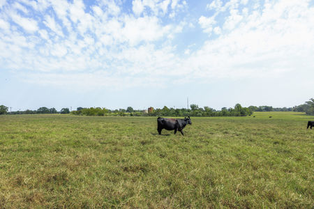 4 - Tract 4 Rolke Ranch Rd