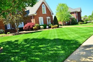 refreshed yard