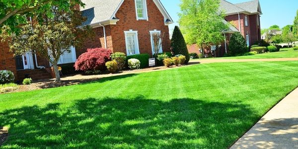 5 Essential May Home Improvement Projects for a …