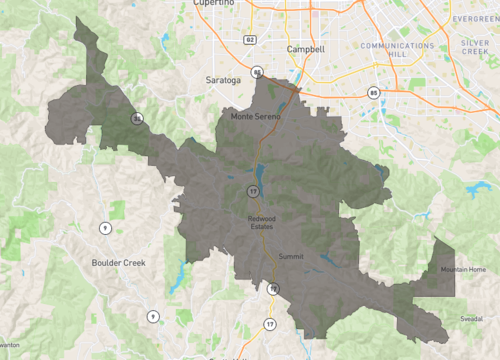 los gatos.png