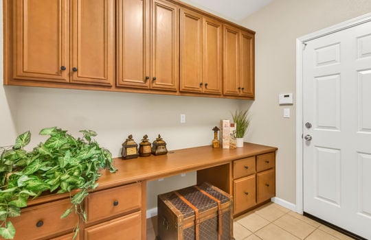 3532 Bridgway Lakes Drive-17