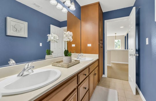 3532 Bridgway Lakes Drive-47