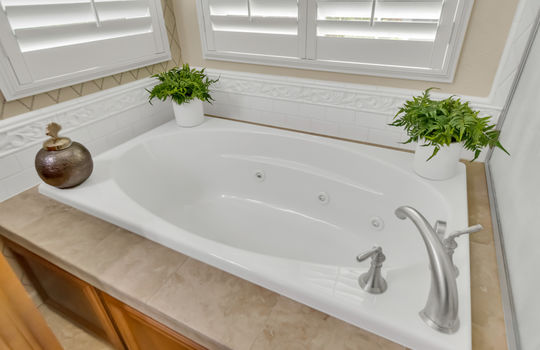 3532 Bridgway Lakes Drive-57