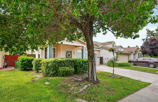 10090 Rojelio Court-3