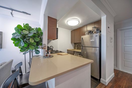 Jacob-Wood-real-estate-agent-uws-manhattan55W848kitchen2