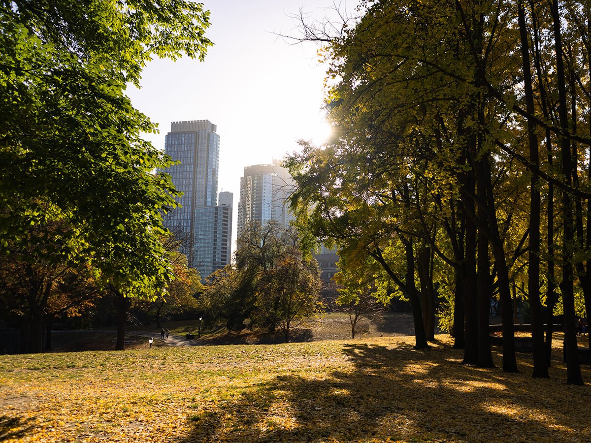 Fort-Greene-Park-with-Colorful-Trees