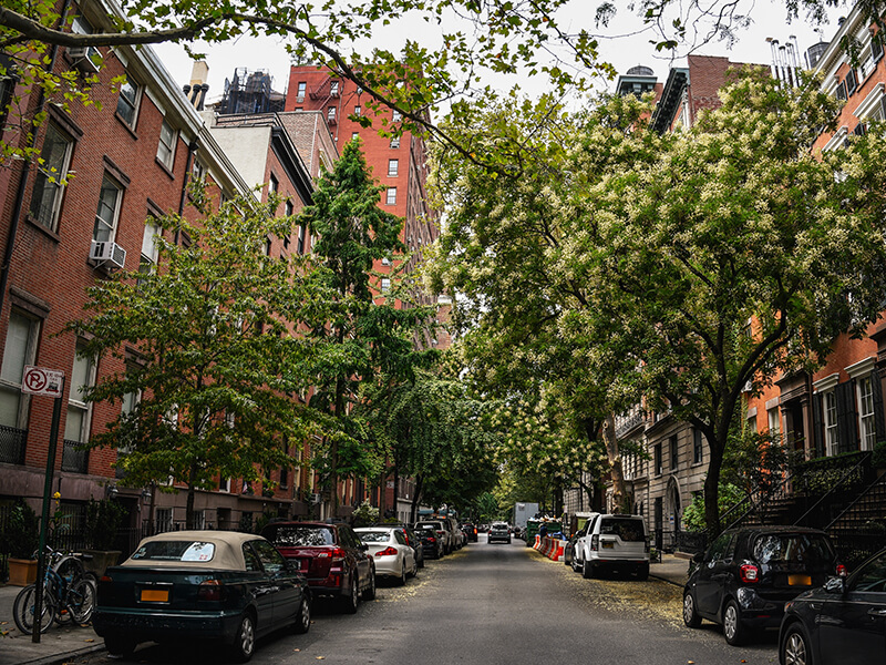 A-Picturesque-Street-in-East-Village-small
