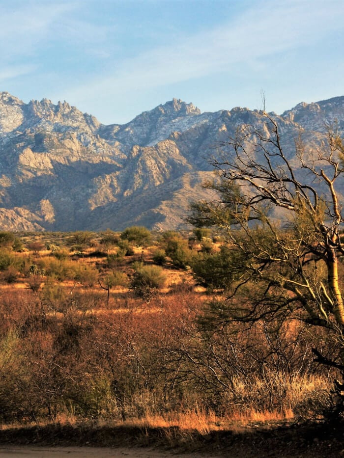 Oro Valley